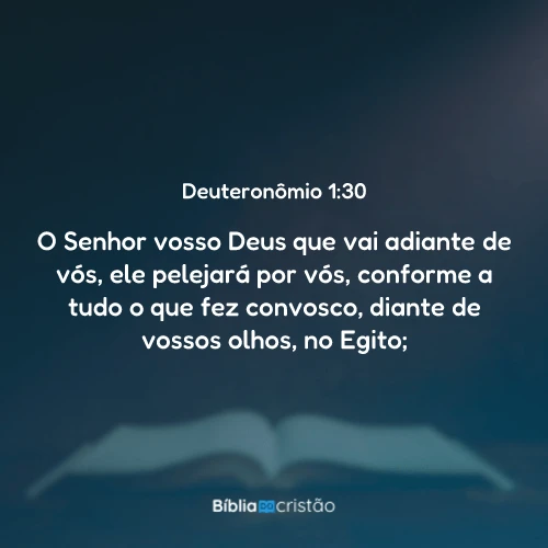 Deuteronômio 1:30