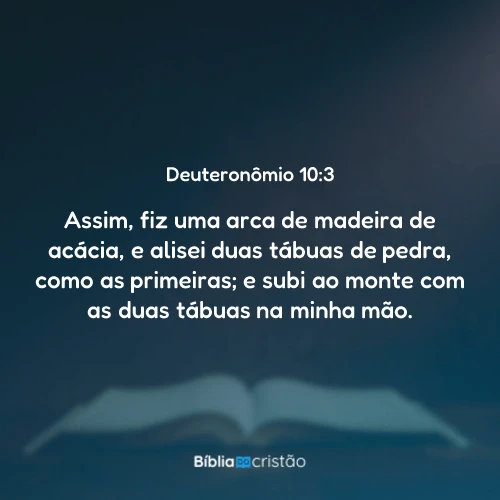 Deuteronômio 10:3