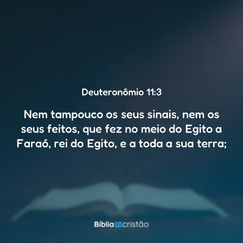 Deuteronômio 11:3