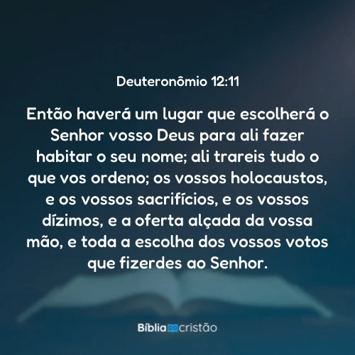 Deuteronômio 12:11