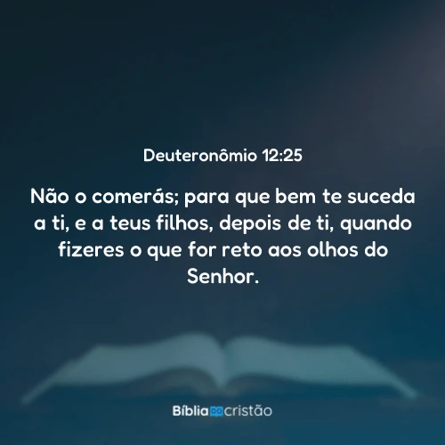 Deuteronômio 12:25