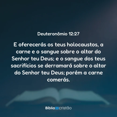 Deuteronômio 12:27