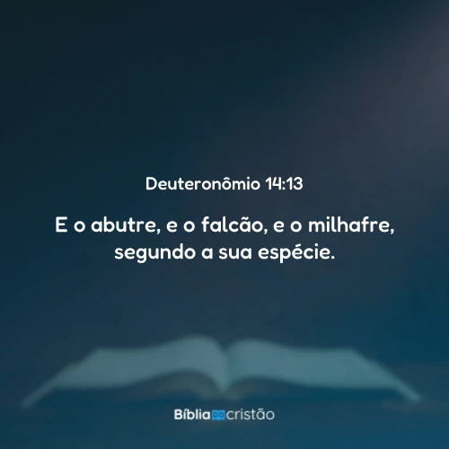 Deuteronômio 14:13