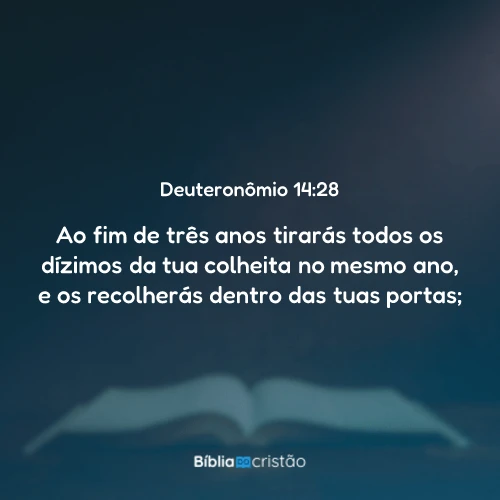 Deuteronômio 14:28