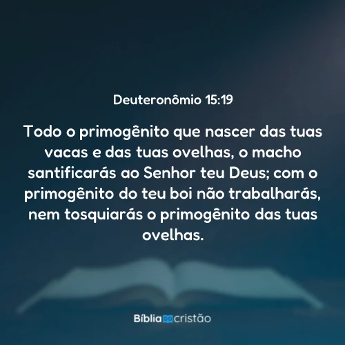 Deuteronômio 15:19
