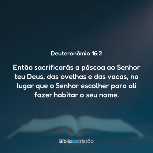 Deuteronômio 16:2