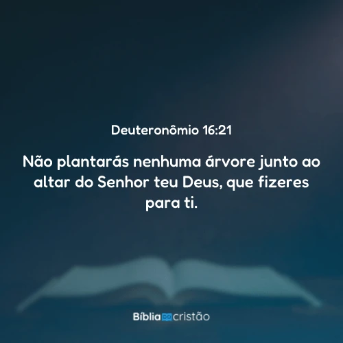 Deuteronômio 16:21