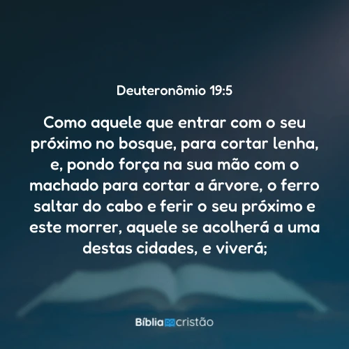 Deuteronômio 19:5