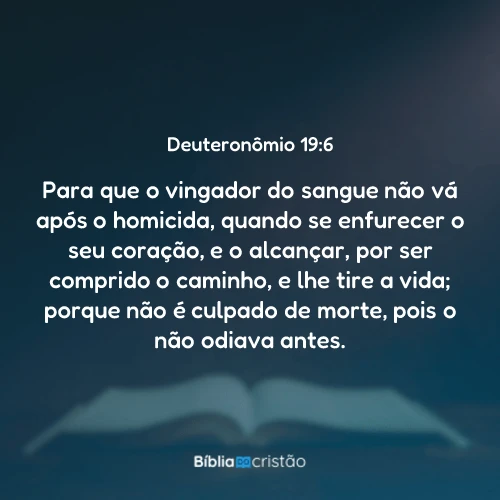 Deuteronômio 19:6