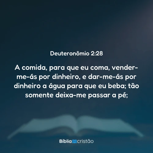 Deuteronômio 2:28