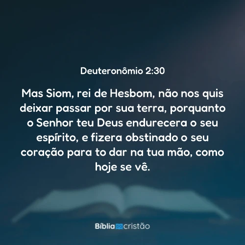 Deuteronômio 2:30