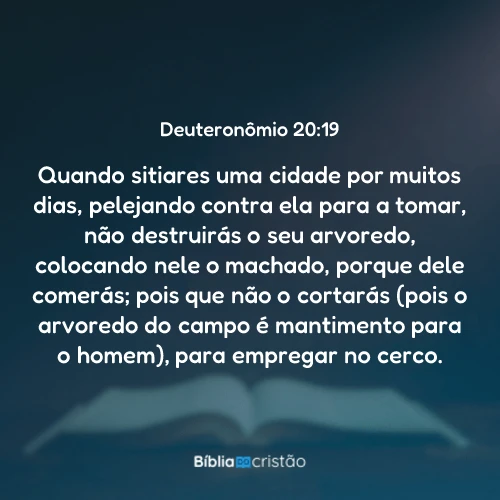 Deuteronômio 20:19