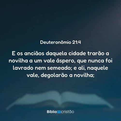 Deuteronômio 21:4