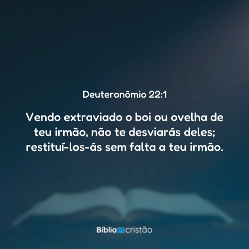 Deuteronômio 22:1