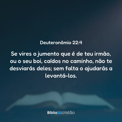 Deuteronômio 22:4