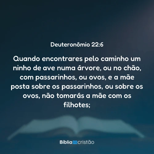 Deuteronômio 22:6
