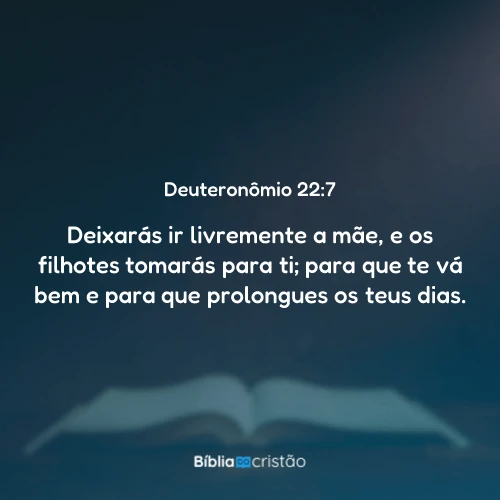 Deuteronômio 22:7