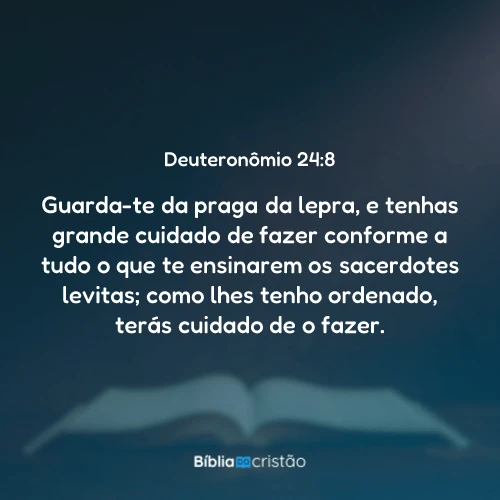 Deuteronômio 24:8
