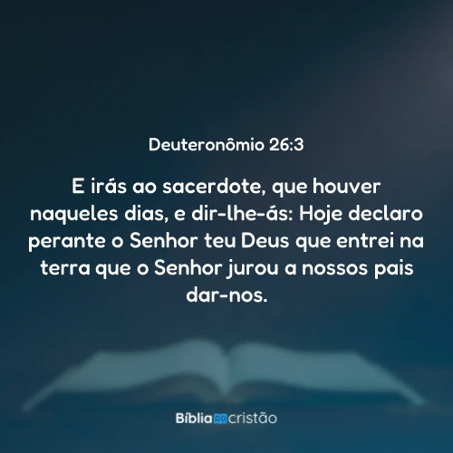 Deuteronômio 26:3