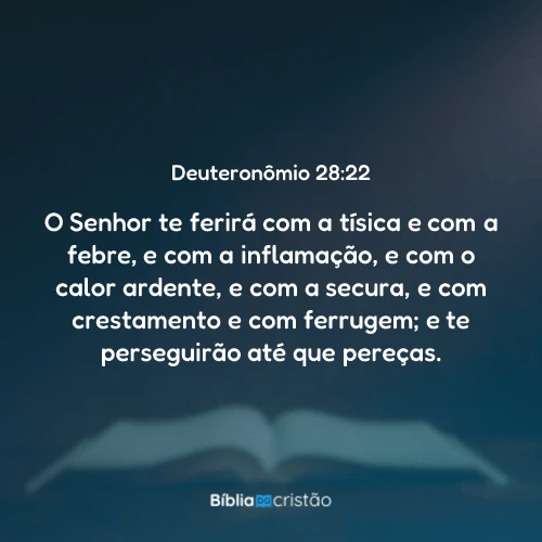 Deuteronômio 28:22