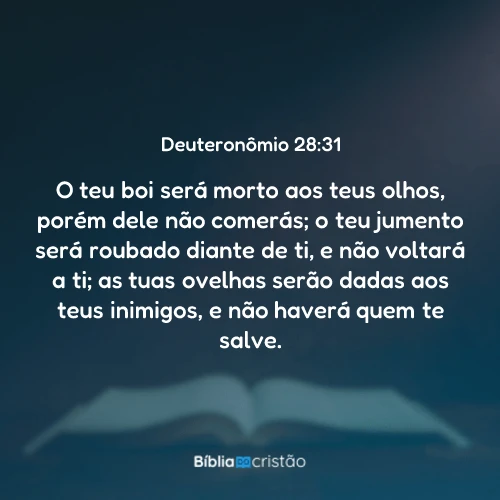 Deuteronômio 28:31
