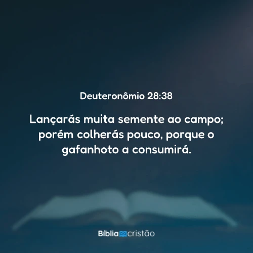 Deuteronômio 28:38