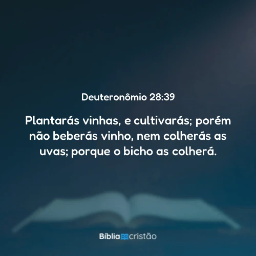 Deuteronômio 28:39