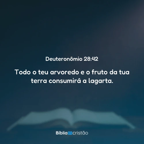 Deuteronômio 28:42