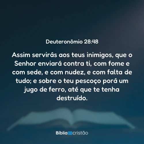 Deuteronômio 28:48