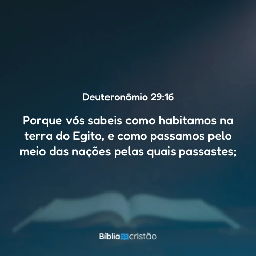 Deuteronômio 29:16