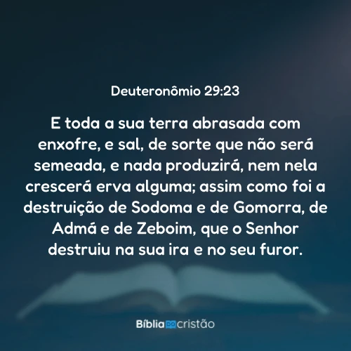 Deuteronômio 29:23