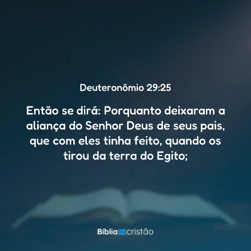 Deuteronômio 29:25