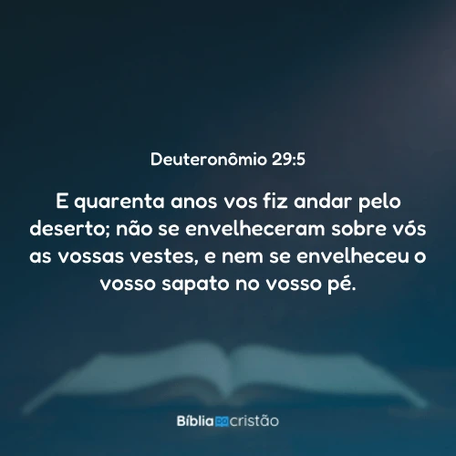Deuteronômio 29:5