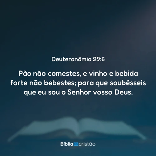 Deuteronômio 29:6