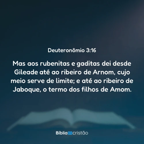 Deuteronômio 3:16