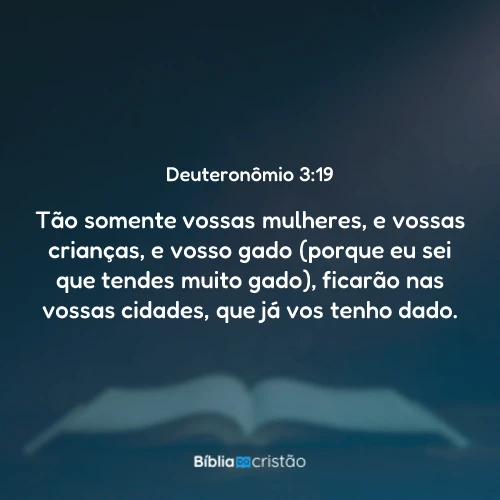 Deuteronômio 3:19