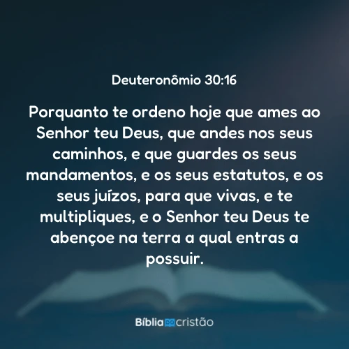 Deuteronômio 30:16