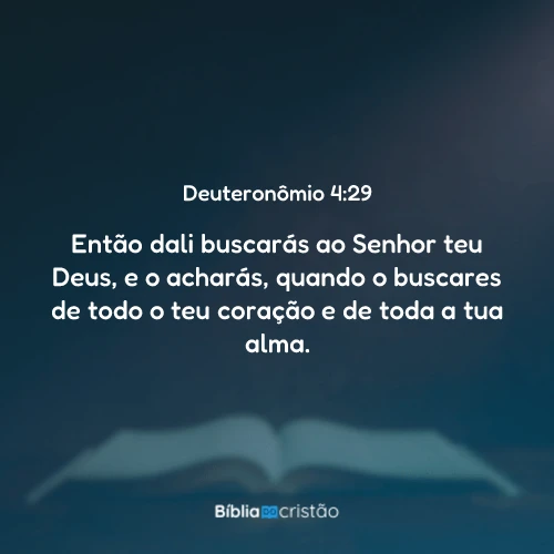 Deuteronômio 4:29