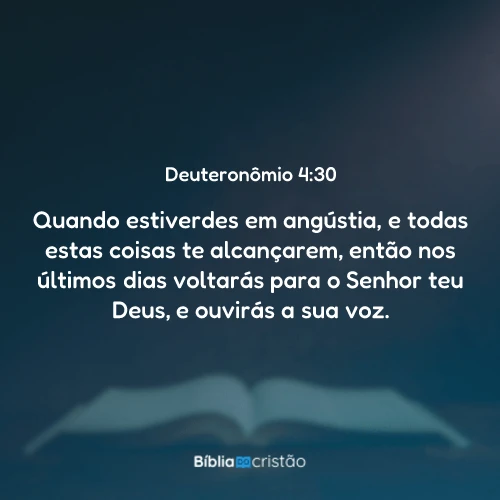 Deuteronômio 4:30