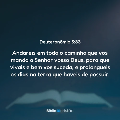 Deuteronômio 5:33
