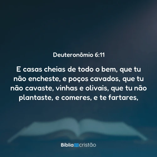 Deuteronômio 6:11