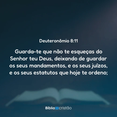 Deuteronômio 8:11