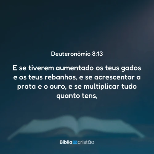 Deuteronômio 8:13