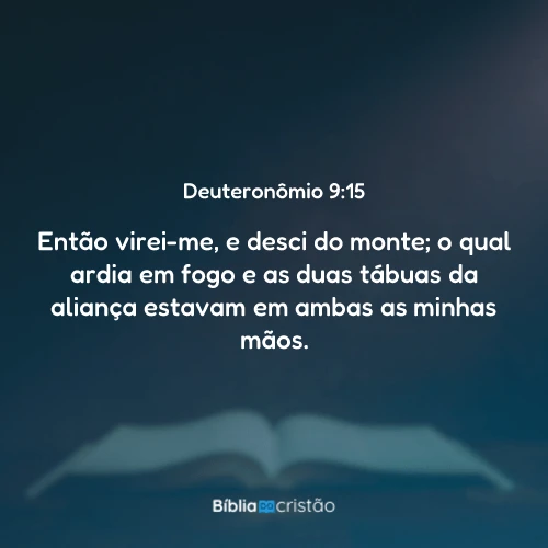 Deuteronômio 9:15