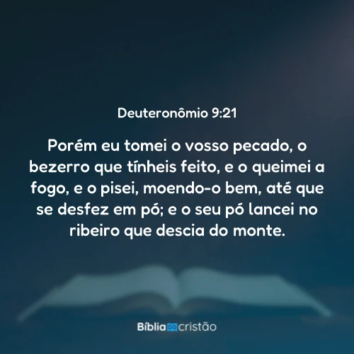 Deuteronômio 9:21