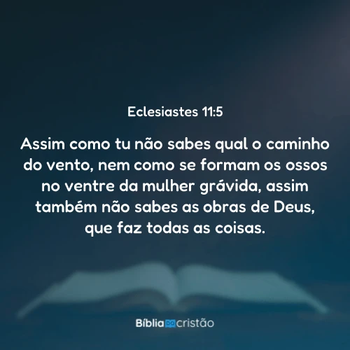 Eclesiastes 11:5