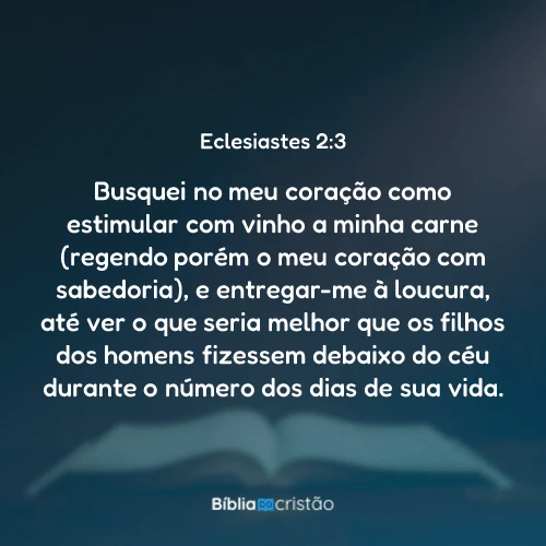 Eclesiastes 2:3