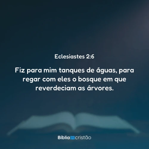 Eclesiastes 2:6