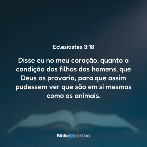 Eclesiastes 3:18