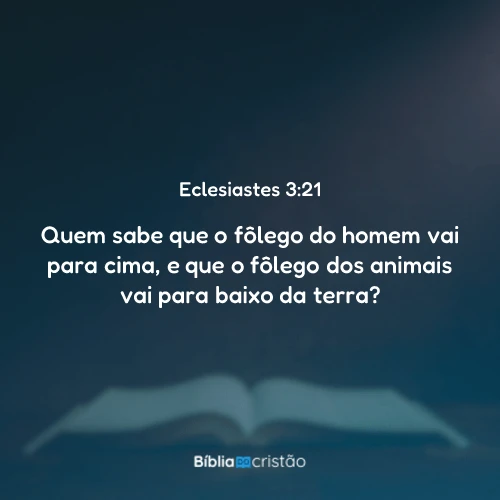 Eclesiastes 3:21